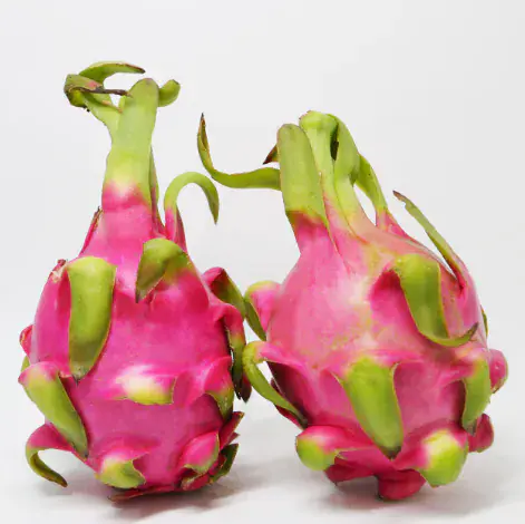 越南紅肉火龍果 (Vietnamese Red Dragon Fruit) - 非有機 / 大承食品 / 越南 / 18-21個箱 14千克