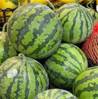 中國8424C西瓜 (China 8424C Watermelon) - 非有機 / 大承食品 / 中國 / 1個箱 19.3千克