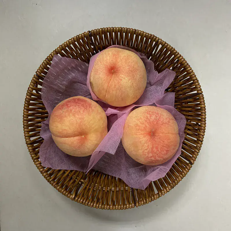 夏桃 | 水蜜桃 - 有機 / 平叔互生高原農產品 / 中國陝西 / 3個 每斤 (600克)