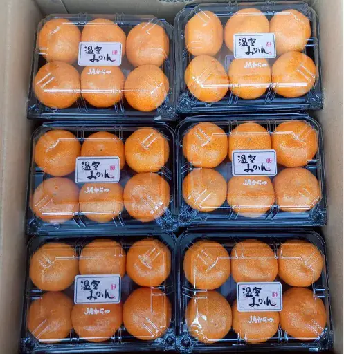 日本佐賀唐津蜜柑(粒裝) (Japanese Saga Karatsu Mandarin Orange Packed) - 非有機 / 大承食品 / 日本 / 24個箱 6.4千克