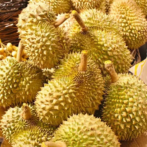 榴槤 ST泰國托曼尼榴槤 (Puangmanee, manee, 香瑪尼) - 非有機 / 大承食品 / 泰國 / 1個 1.5千克